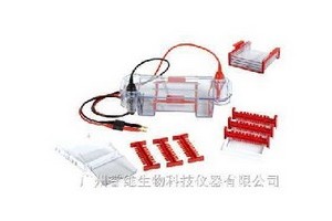 HE-90型小號(hào)水平電泳槽