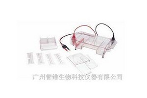 HE-120 多功能水平電泳槽