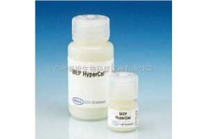 MEP HyperCel 混合模式填料可替代蛋白Protein A或G