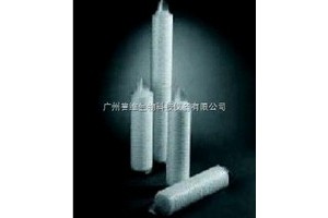 PALL空氣系統除菌濾芯