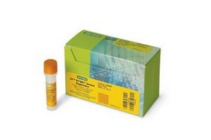 bio-rad熒光定量PCR試劑