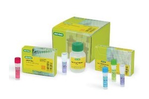 普通PCR試劑 bio-rad