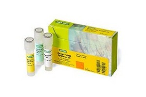 bio-rad 反轉(zhuǎn)錄試劑
