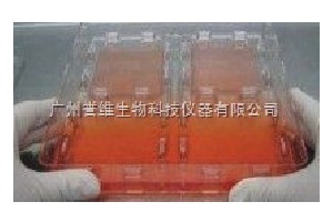 nunc SkinGraft細胞培養(yǎng)皿