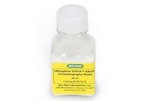 bio-rad層析填料-抗體純化介質