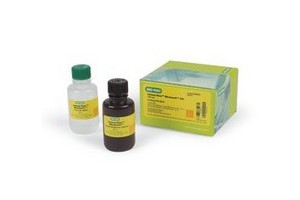 biorad蛋白印跡檢測系列-化學發光底物