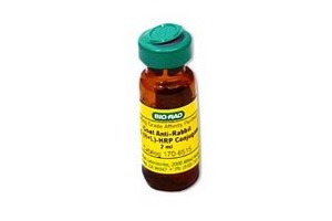 bio-rad蛋白印跡檢測系列-酶聯二抗