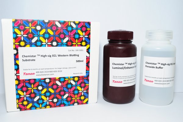 天能 180-501|High-sig ECL Western Blotting Substrate