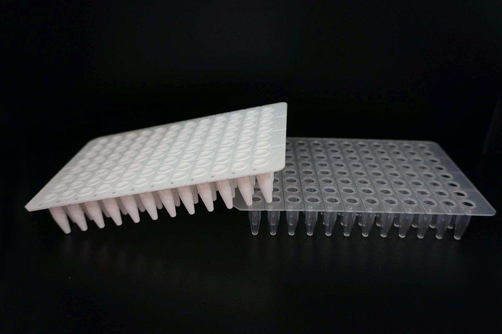 Beebio PCR板,0.1mL/0.2 mL,白色/透明/磨砂