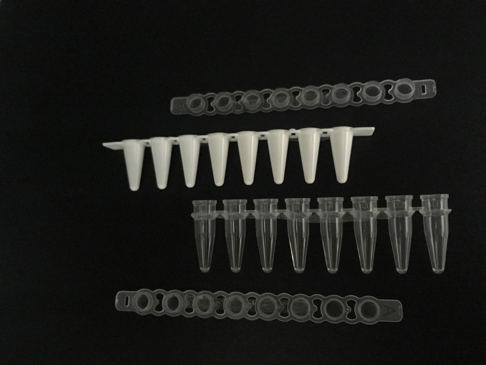 Beebio 8聯(lián)PCR管,0.1mL/0.2 mL,白色/透明/磨砂,含光學(xué)平蓋