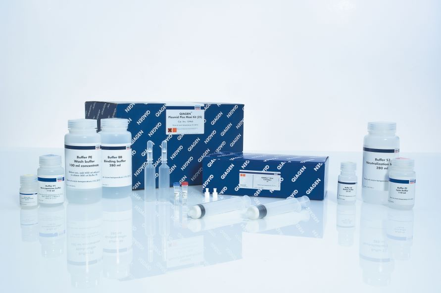 QIAGEN Plasmid Plus Maxi Kit (25)超快速高通量質(zhì)粒提取試劑盒